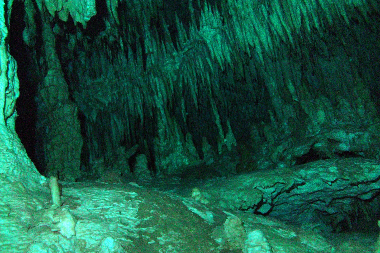 Höhle im grünen Licht einer Lampe, von der Decke hängen dichte Reihen von Tropfsteinen über einem Felsboden