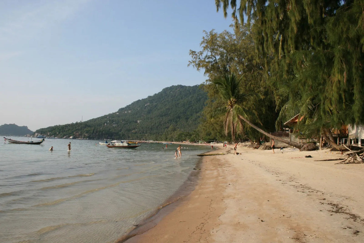 Flacher Sandstrand mit Palmen und Bäumen, im ruhigen Wasser liegen Longtail-Boote, dahinter ein bewaldeter Hügel