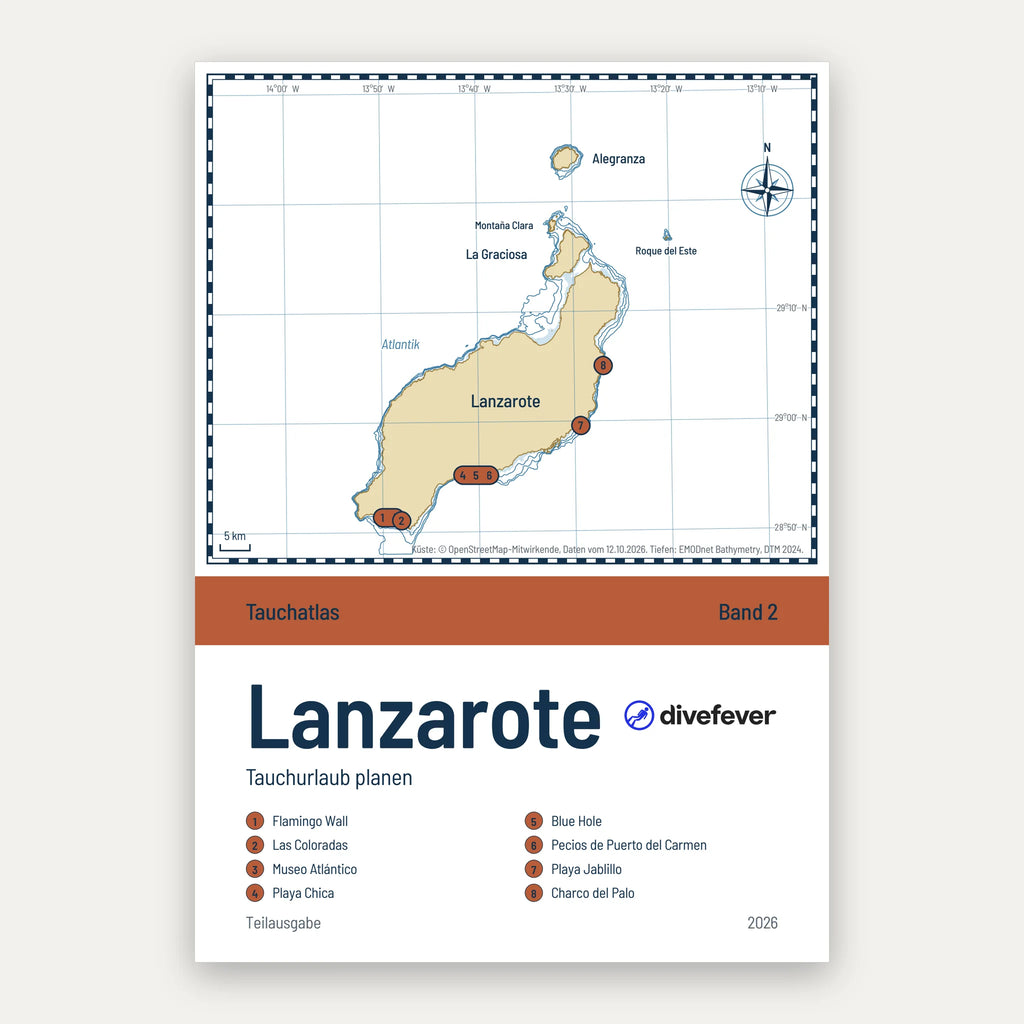 Tauchurlaub auf Lanzarote planen