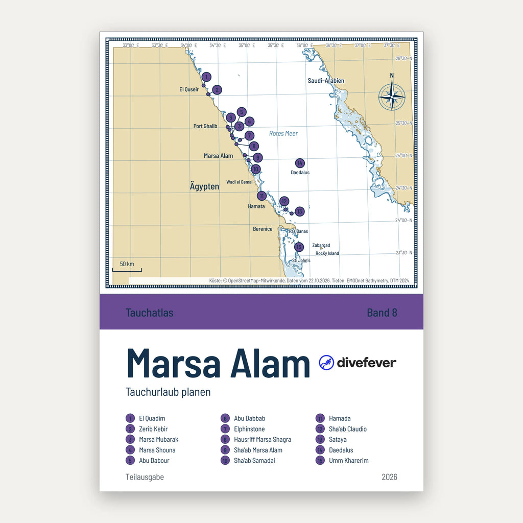Tauchurlaub in Marsa Alam planen