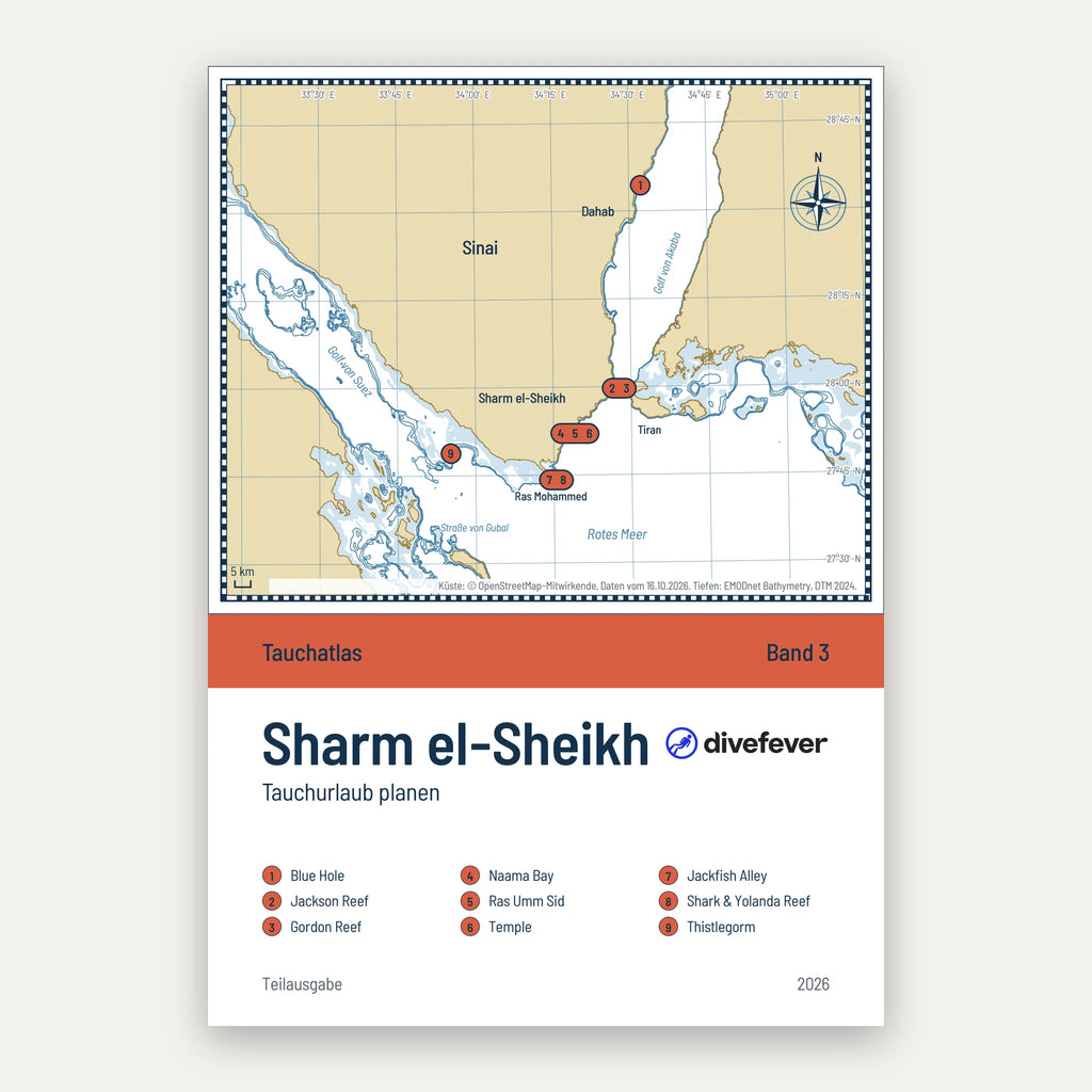 Tauchurlaub in Sharm el-Sheikh planen