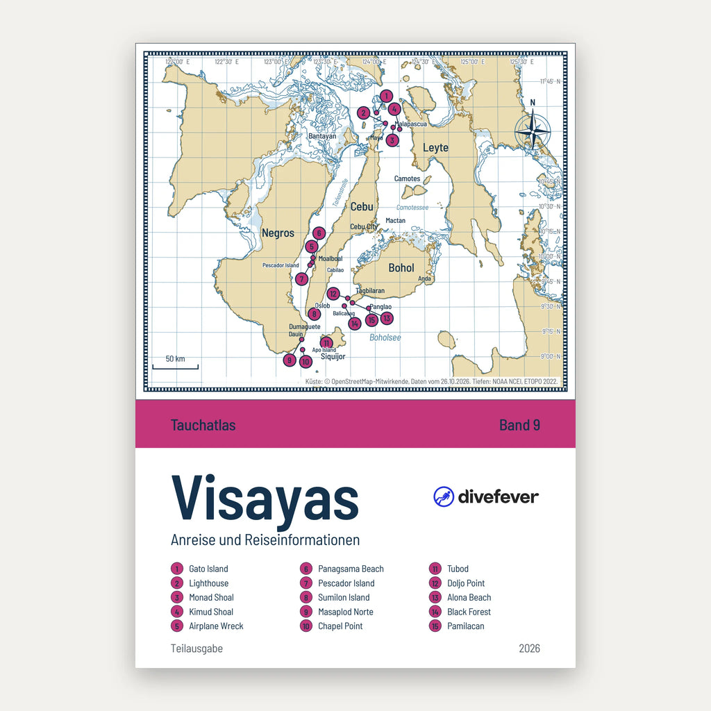 Anreise in die Visayas und Reiseinformationen